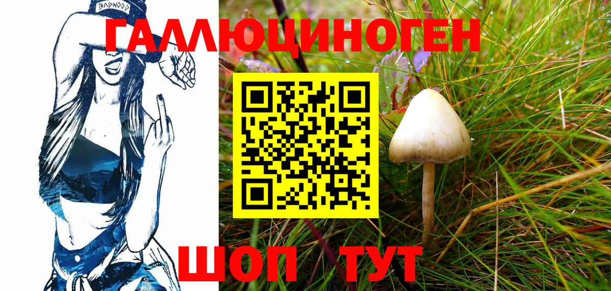 Псилоцибиновые грибы Psilocybine cubensis Сергиев Посад